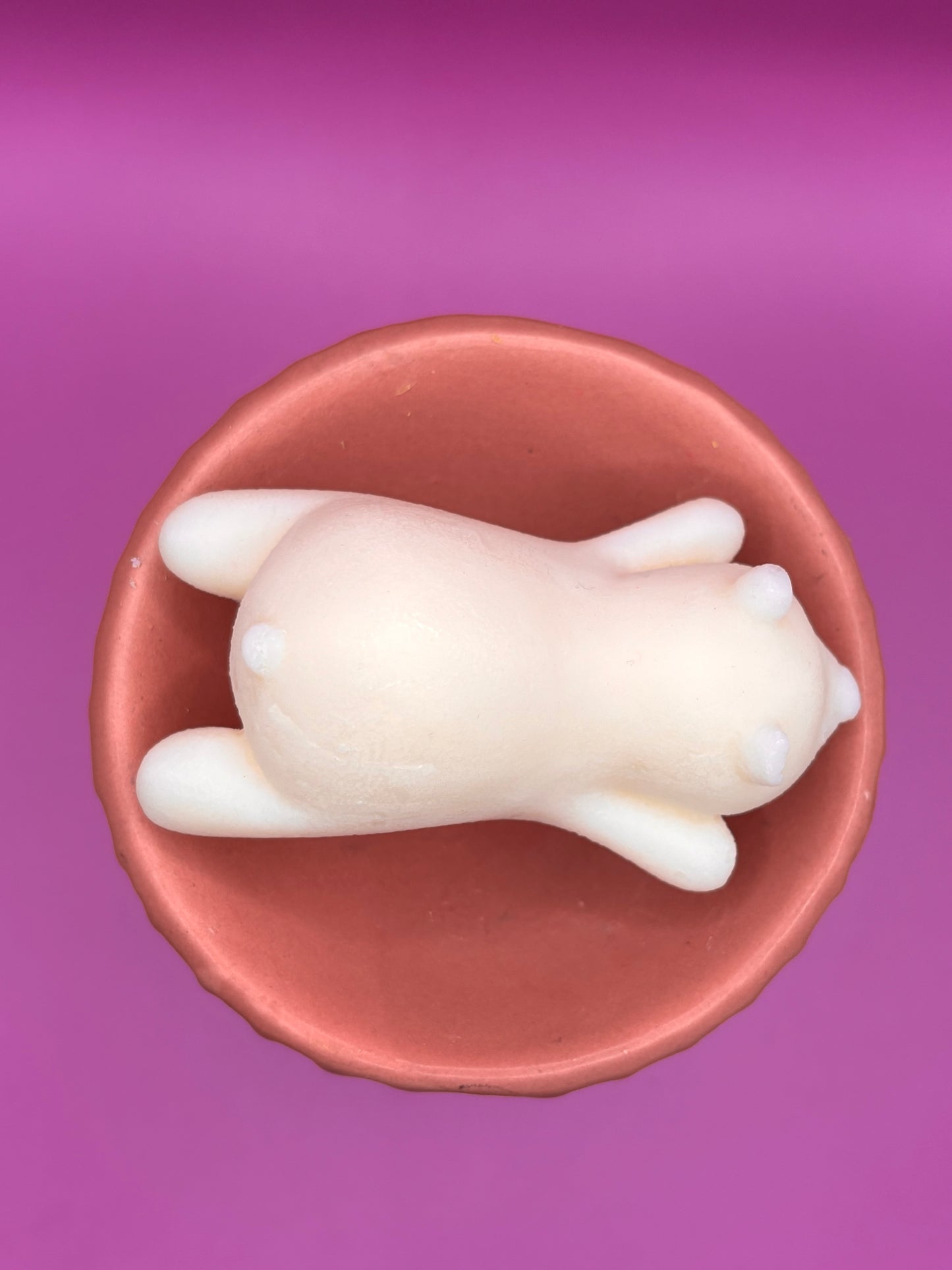 Fondants Parfumés – Lecture de Noël Chocolatée (Édition limitée)