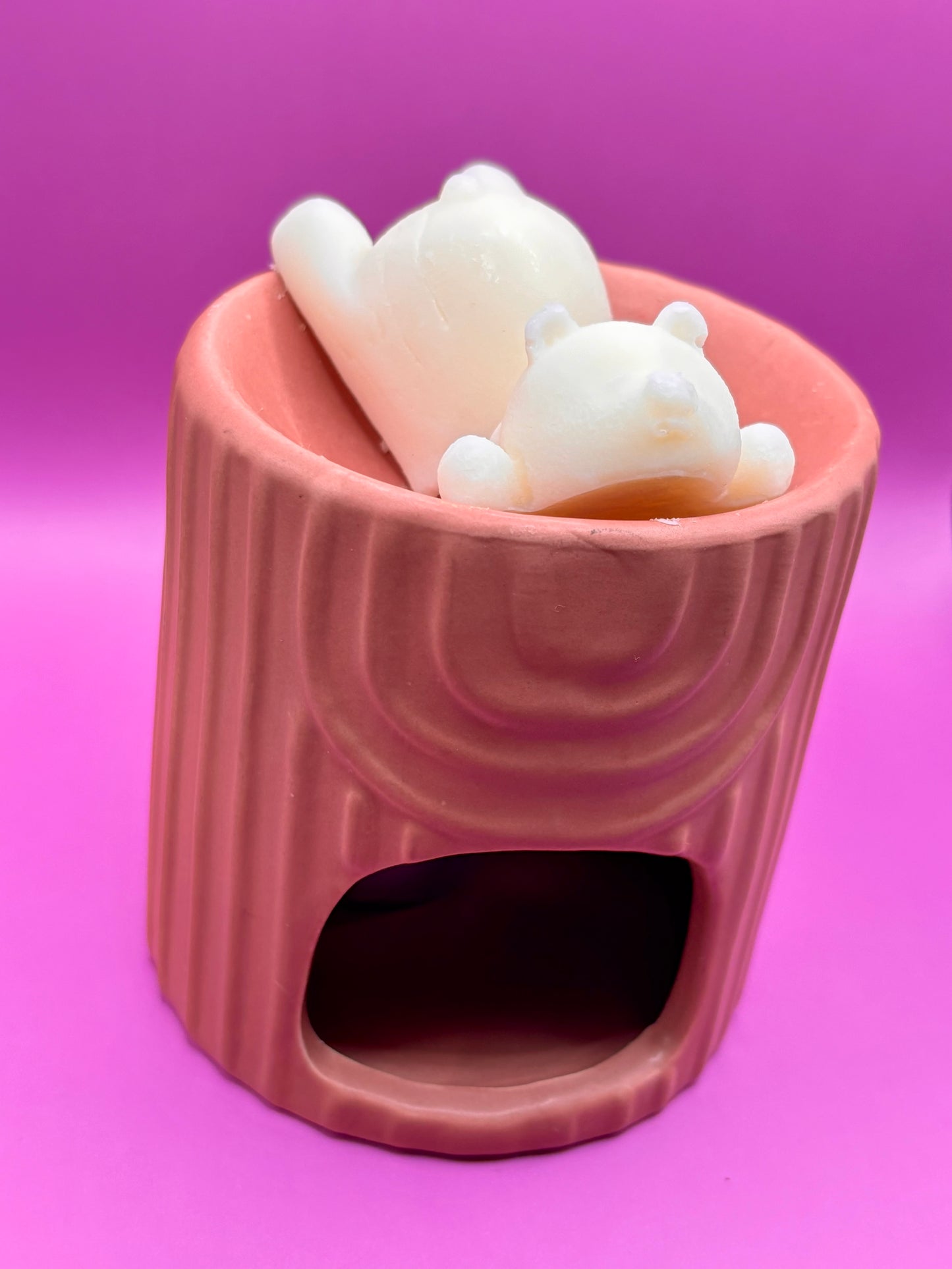 Fondants Parfumés – Lecture de Noël Chocolatée (Édition limitée)