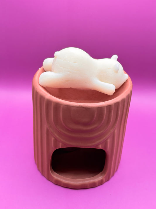 Fondants Parfumés – Lecture de Noël Chocolatée (Édition limitée)