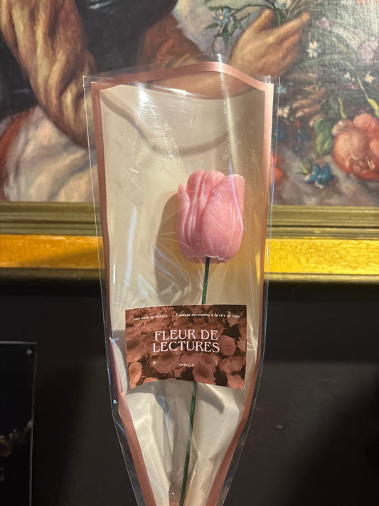 Tulipe parfumée – Romance