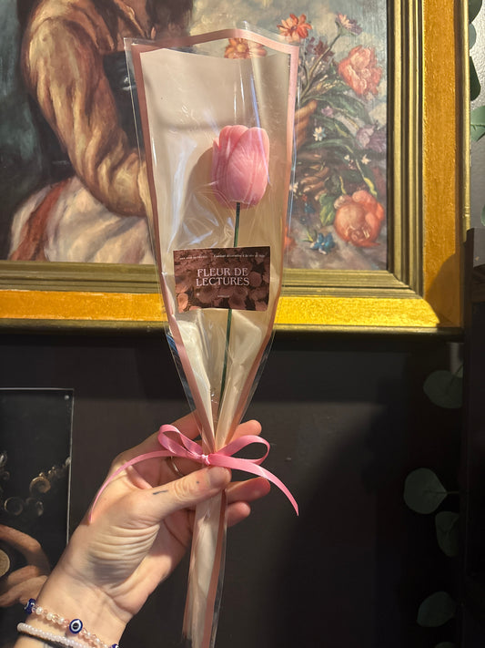 Tulipe parfumée – Romance