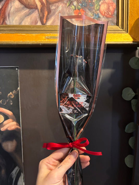 Rose parfumée – Dark Romance