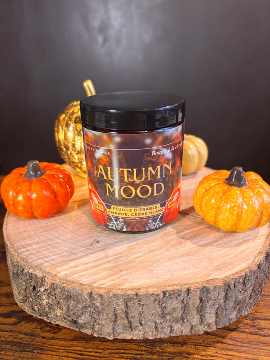 Bougie littéraire édition limitée Autumn Mood – artisanale et parfumée – grand format